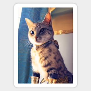 Golden armor knight cat: Iron Fists Sticker